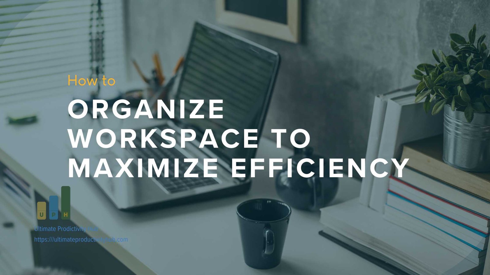 How to Organize Workspace