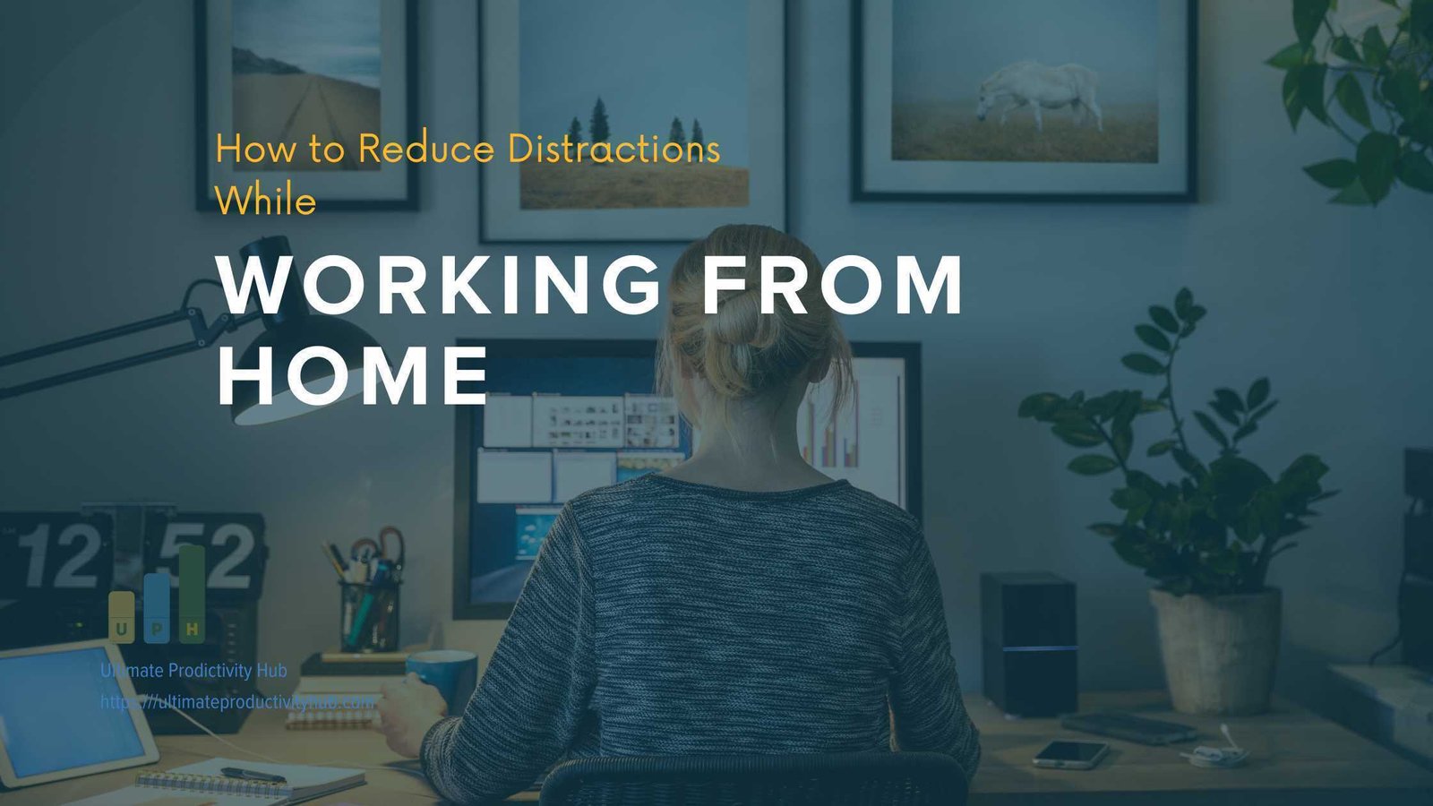 How to Reduce Distractions